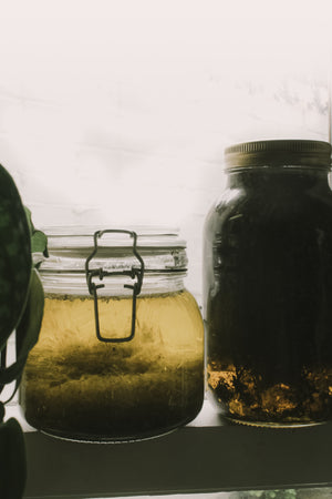 Making an Herb-Infused Oil