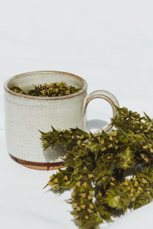 Greek Mountain Tea: an Herbal Monograph
