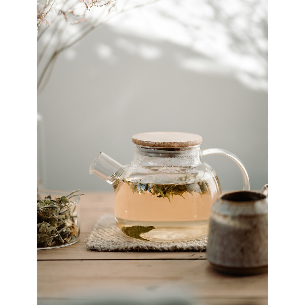 Greek Mountain Tea - Sideritis Scardica - Shepherd's Tea – AlkamiCare